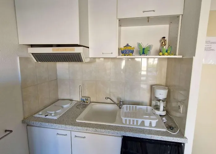 Avec Piscine, Terrasse Et Parking, Proche Commodites - Fr-1-387-206 *